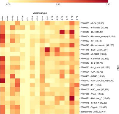 Mapping OMIM Disease–Related Variations on Protein Domains Reveals an Association Among Variation Type, Pfam Models, and Disease Classes